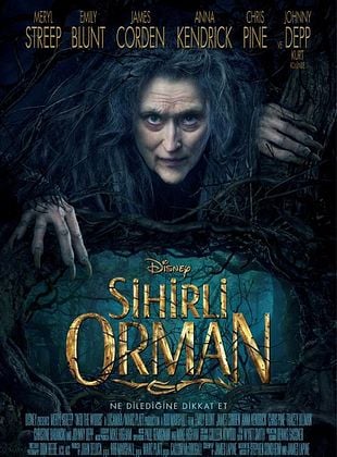  Sihirli Orman posteri